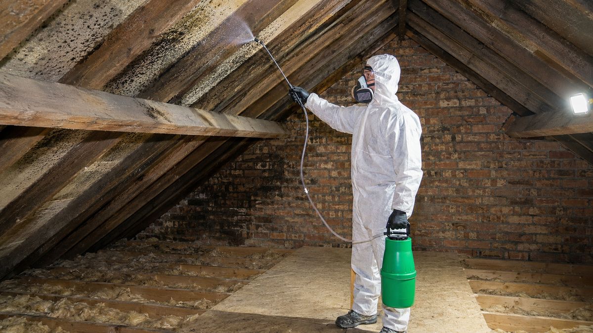 Mould Treatment in Manchester