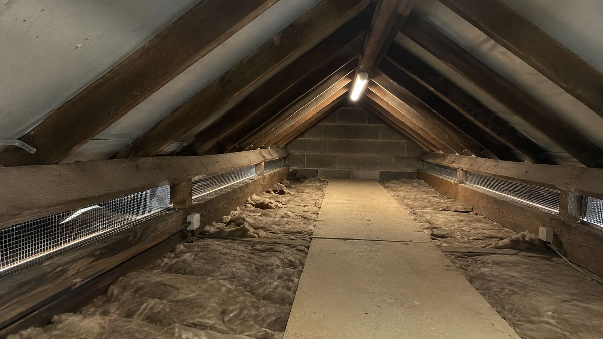 Rodent Proofing in Manchester